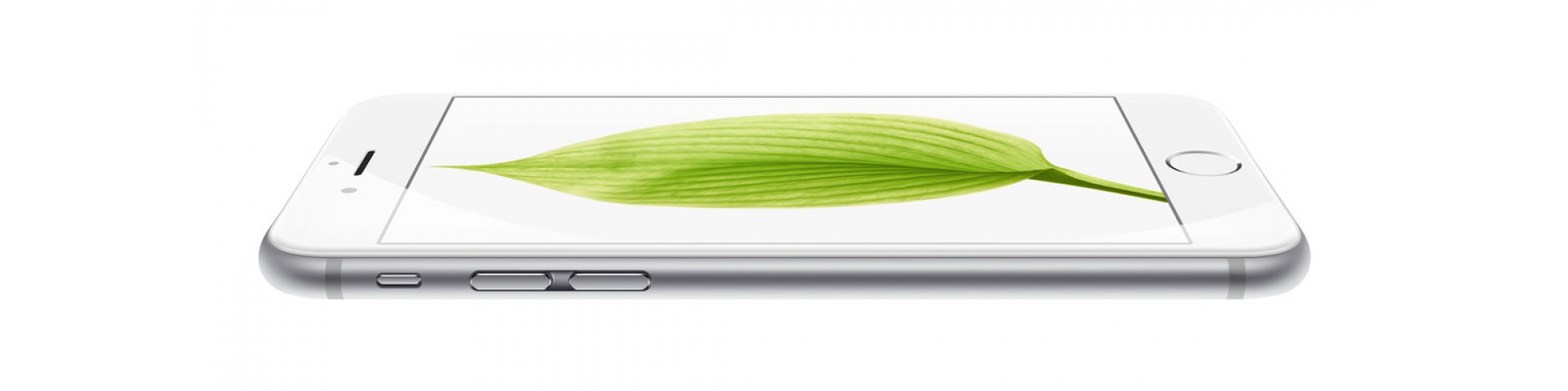 iPhone 6